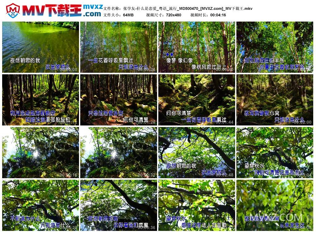 张学友-什么是恋爱_粤语_流行_MD500470